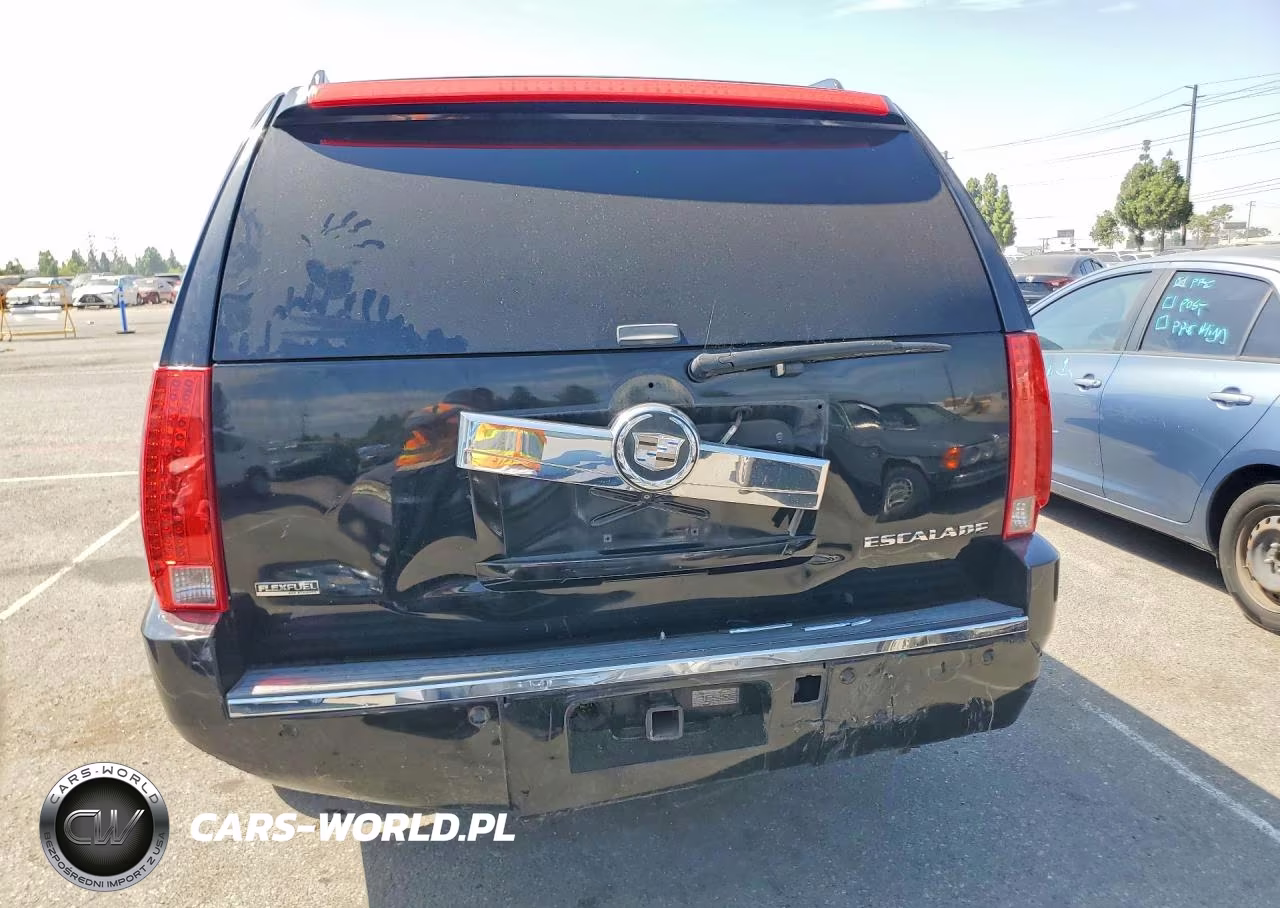 2010 Cadillac Escalade Esv Premium VIN:1GYUCJEF0AR115538 - 6