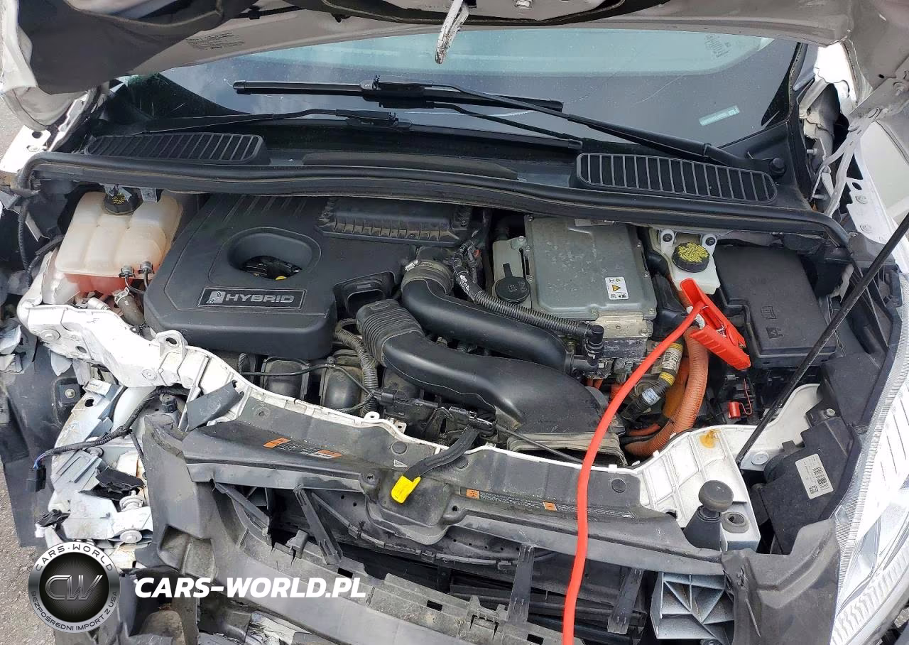 2018 Ford C-Max Titanium VIN:1FADP5DU1JL100105 - 12