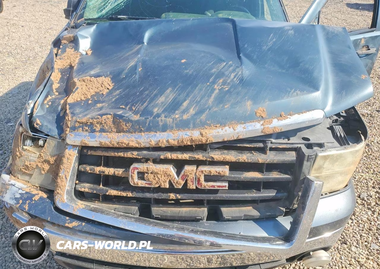 2007 GMC New Sierra C1500 VIN:1GTEC19C07Z519555 - 11