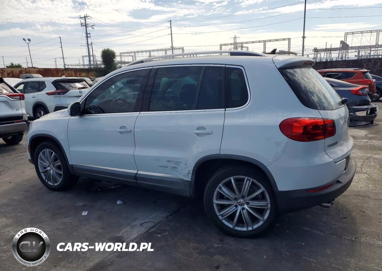 2014 Volkswagen Tiguan S VIN:WVGAV3AX4EW560199 - 2
