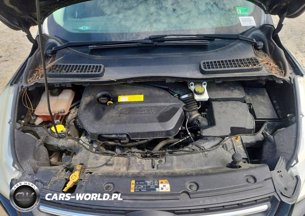 2015 Ford Escape Se VIN:1FMCU9GXXFUC84985 - 11