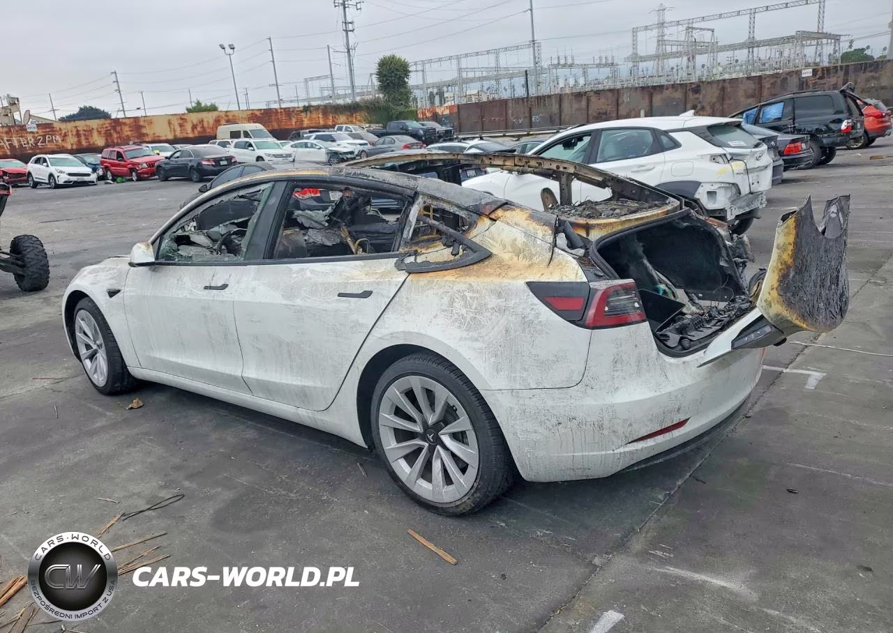 2023 Tesla Model 3 VIN:5YJ3E1EA0PF459787 - 2