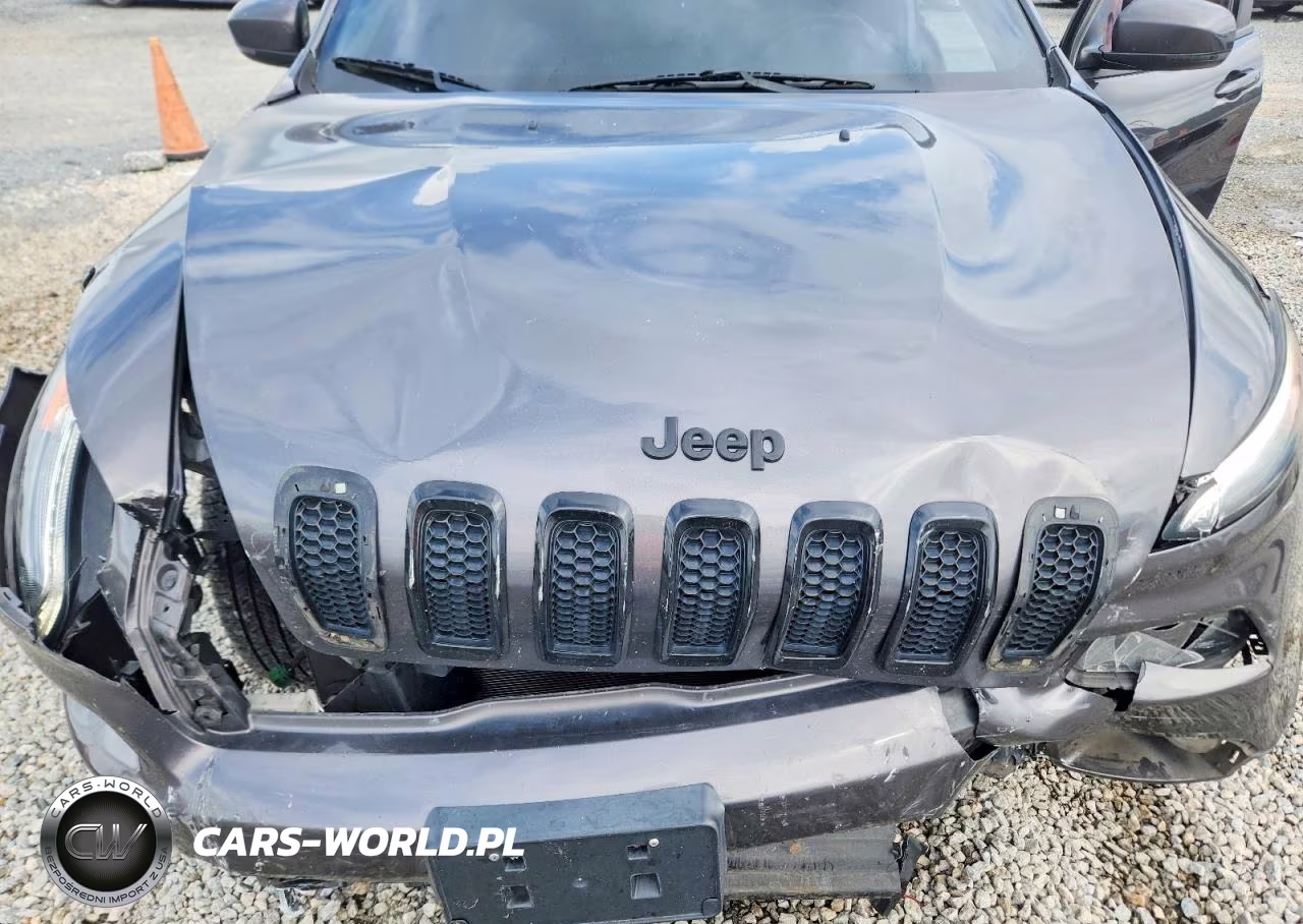 2018 Jeep Cherokee Limited VIN:1C4PJMDB5JD599180 - 12
