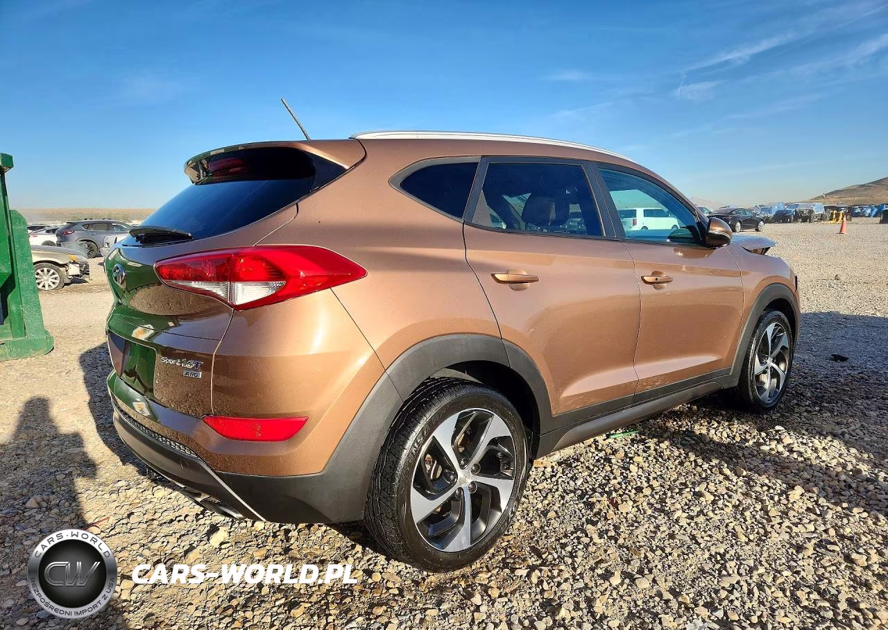 2016 Hyundai Tucson Sport VIN:KM8J3CA2XGU105382 - 3