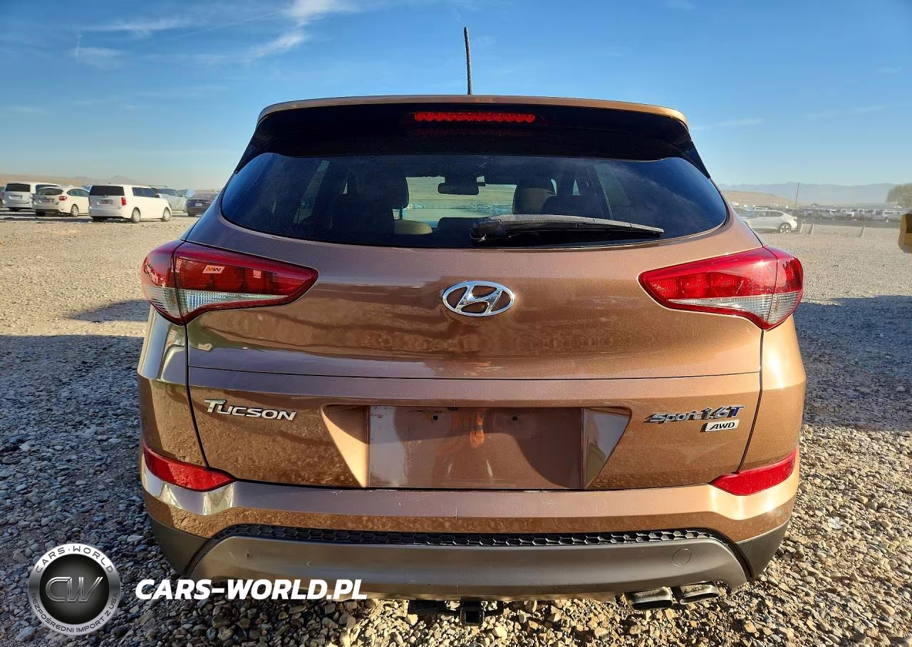 2016 Hyundai Tucson Sport VIN:KM8J3CA2XGU105382 - 6