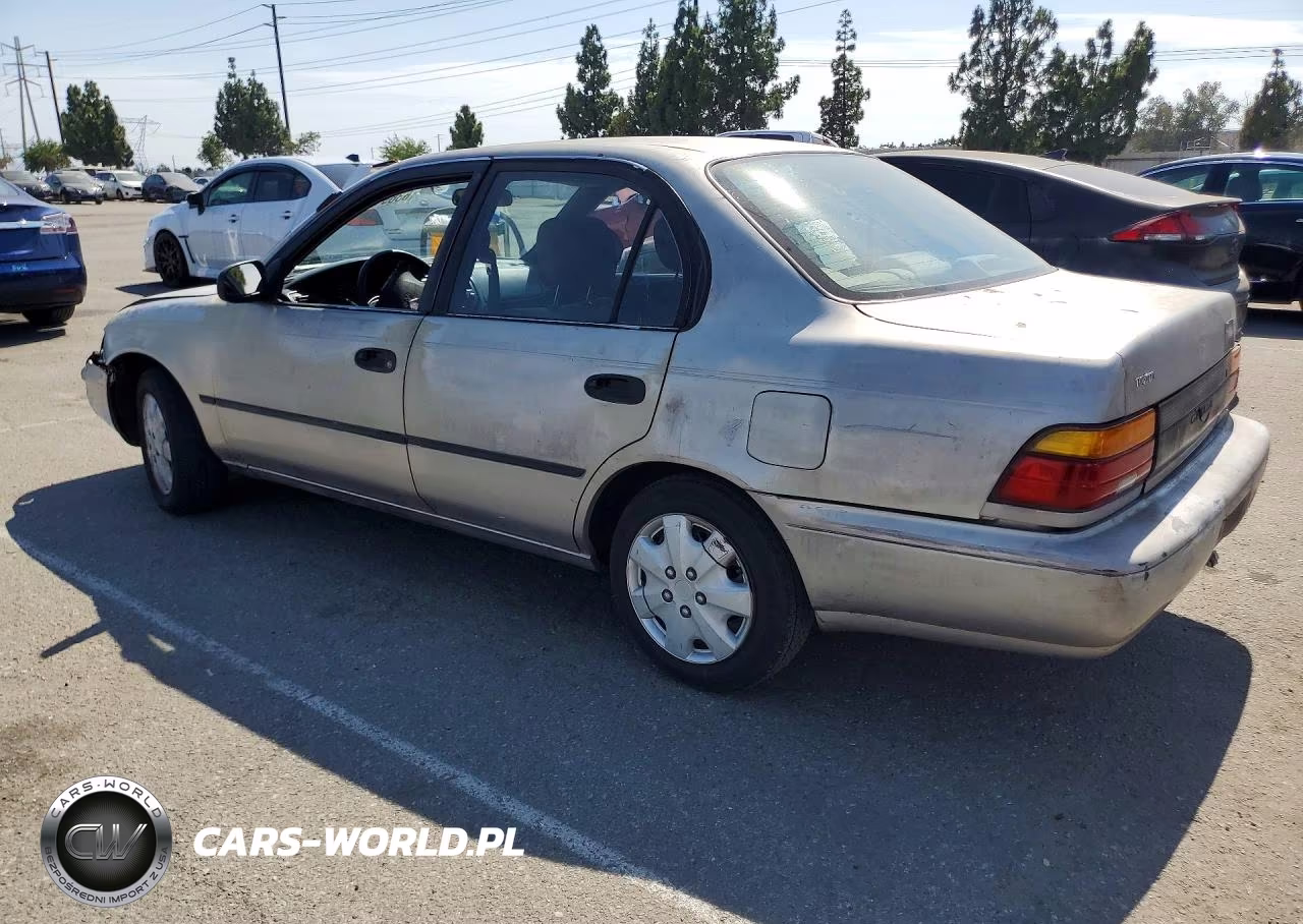 1994 Toyota Corolla Dx VIN:1NXAE09B5RZ219032 - 2