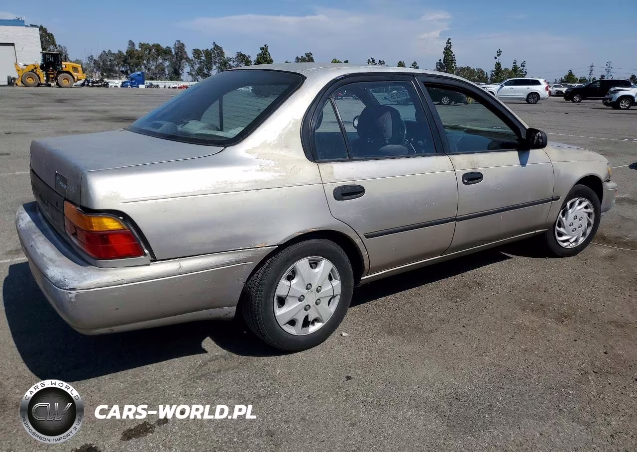 1994 Toyota Corolla Dx VIN:1NXAE09B5RZ219032 - 3