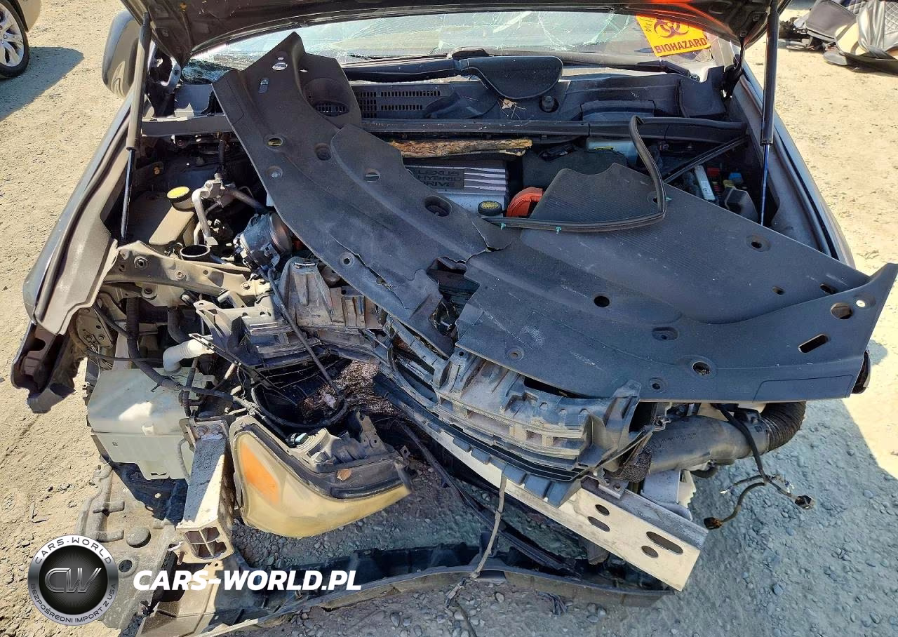 2010 Lexus Hs 250H VIN:JTHBB1BAXA2009758 - 11