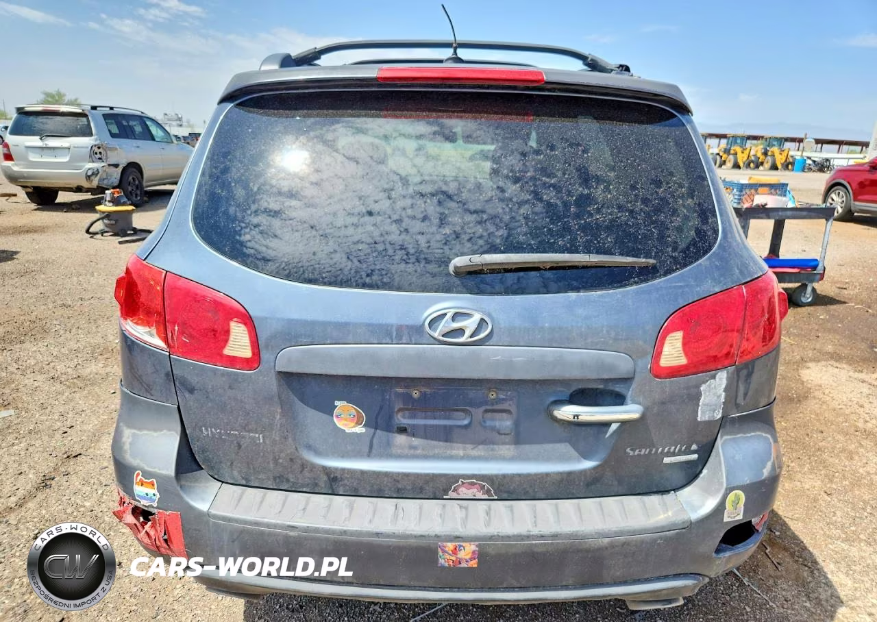2007 Hyundai Santa Fe Se VIN:5NMSH13E47H066785 - 6