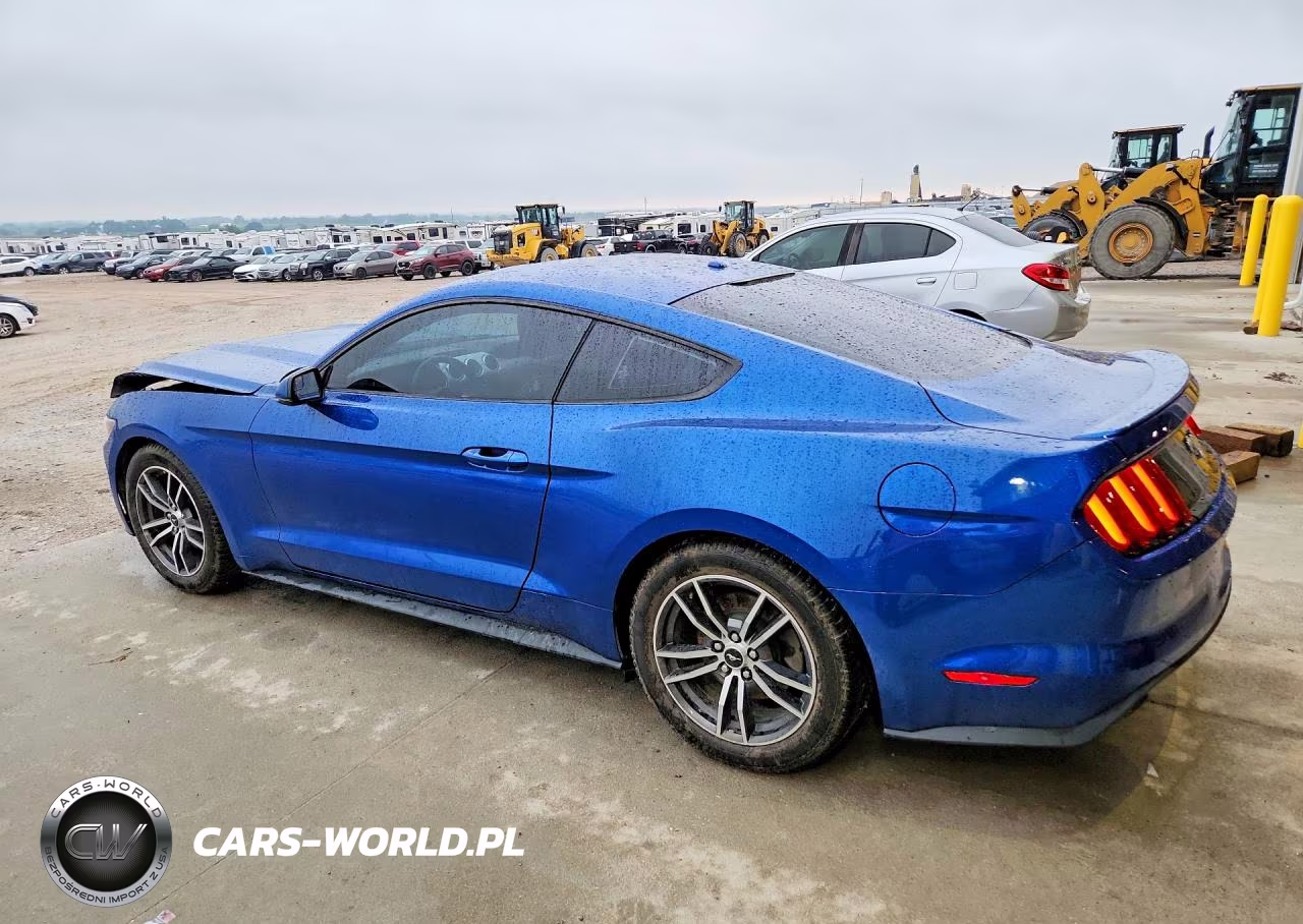 2017 Ford Mustang VIN:1FA6P8TH0H5306416 - 2