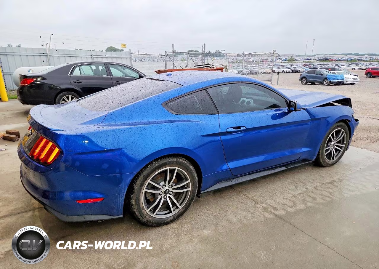 2017 Ford Mustang VIN:1FA6P8TH0H5306416 - 3