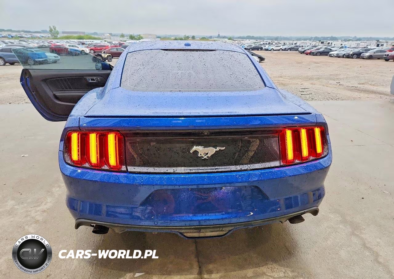 2017 Ford Mustang VIN:1FA6P8TH0H5306416 - 6
