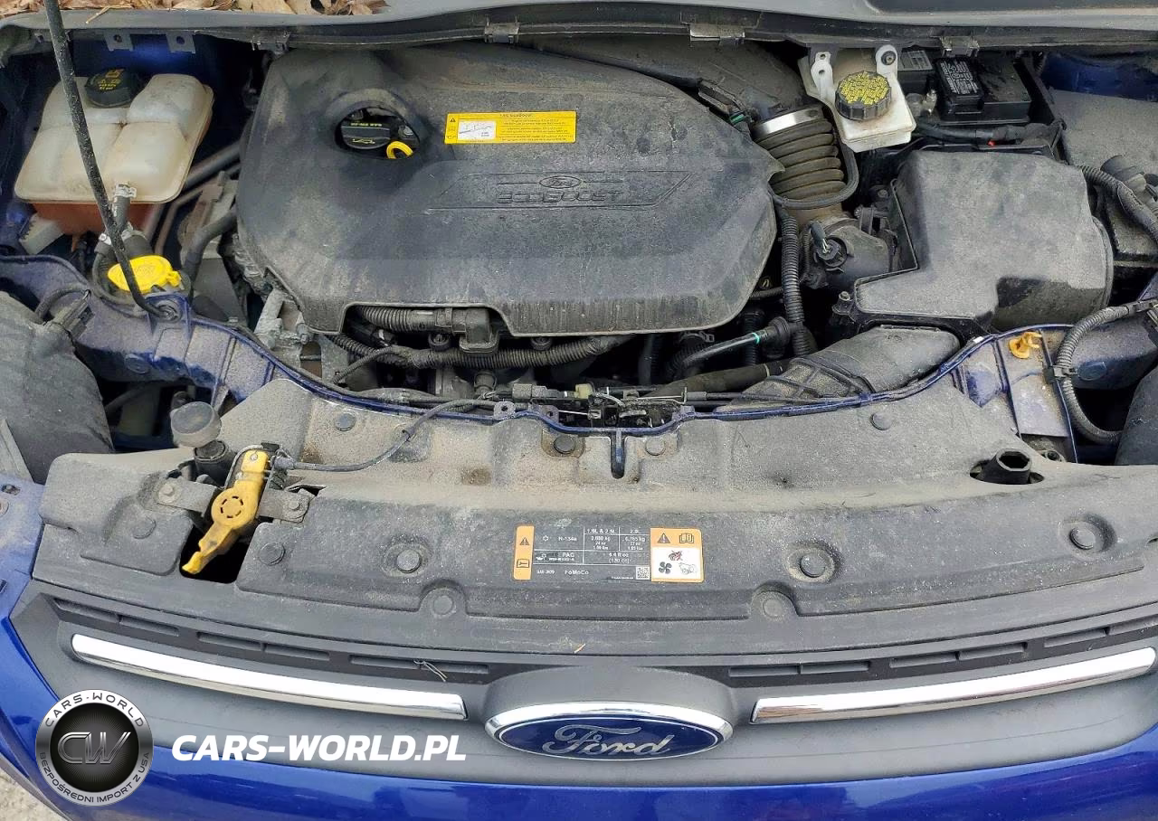 2016 Ford Escape Se VIN:1FMCU0GX8GUC75067 - 12