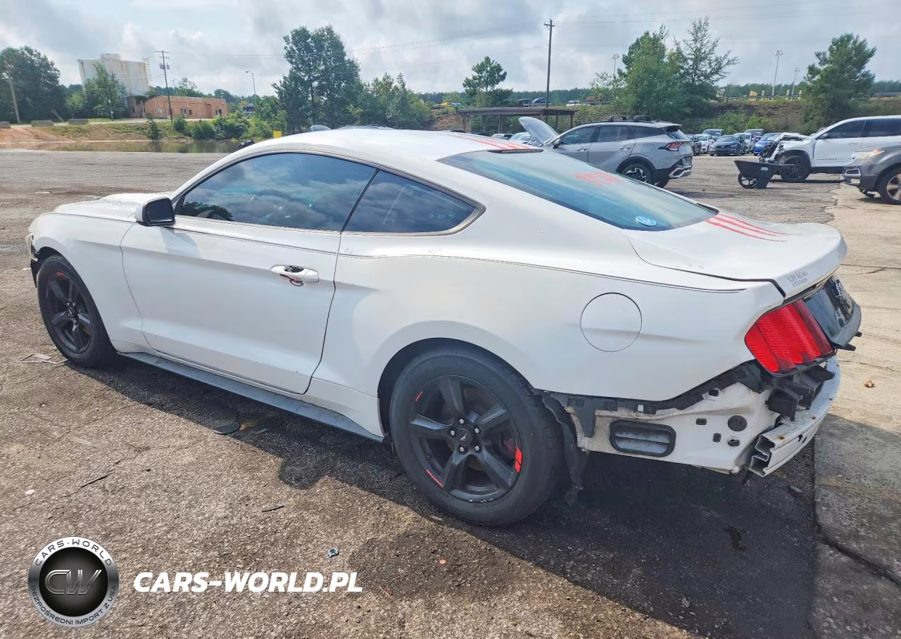 2016 Ford Mustang VIN:1FA6P8AM8G5211780 - 2
