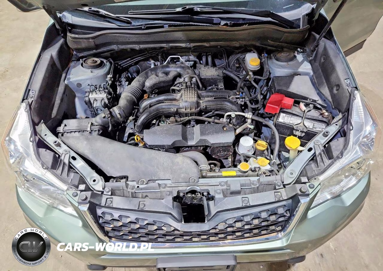 2016 Subaru Forester 2.5I VIN:JF2SJABCXGH499714 - 12