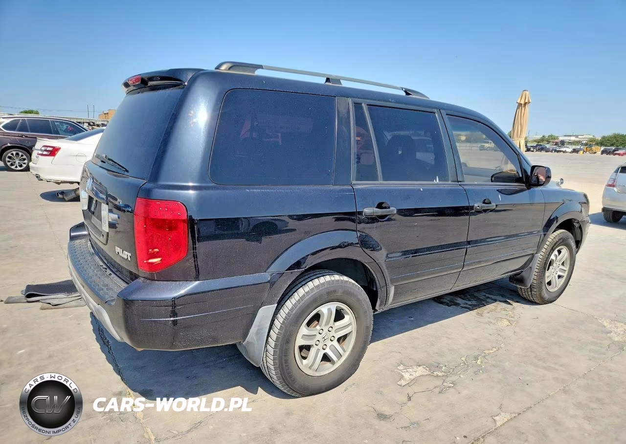 2004 Honda Pilot Ex VIN:5FNYF18424B009689 - 3