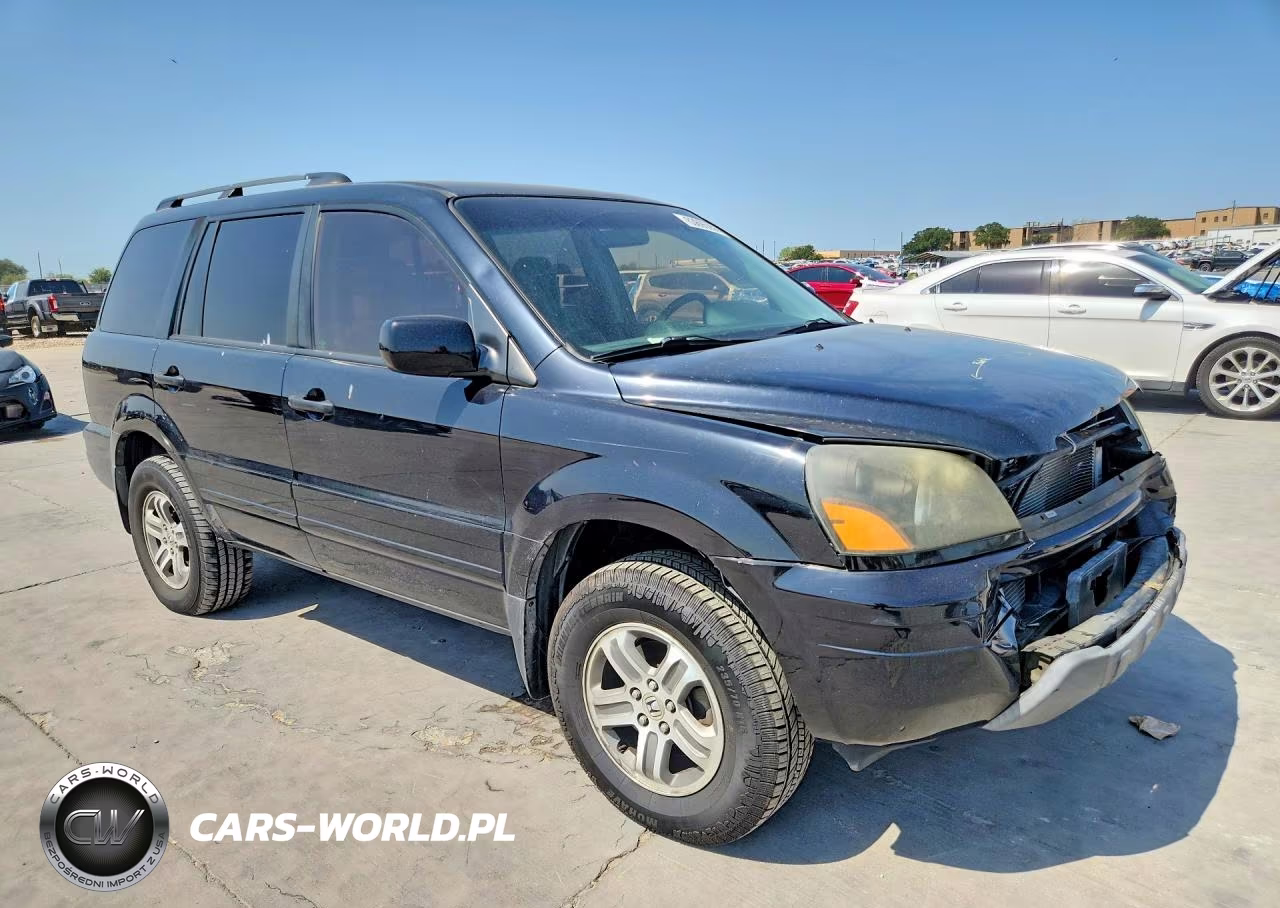 2004 Honda Pilot Ex VIN:5FNYF18424B009689 - 4