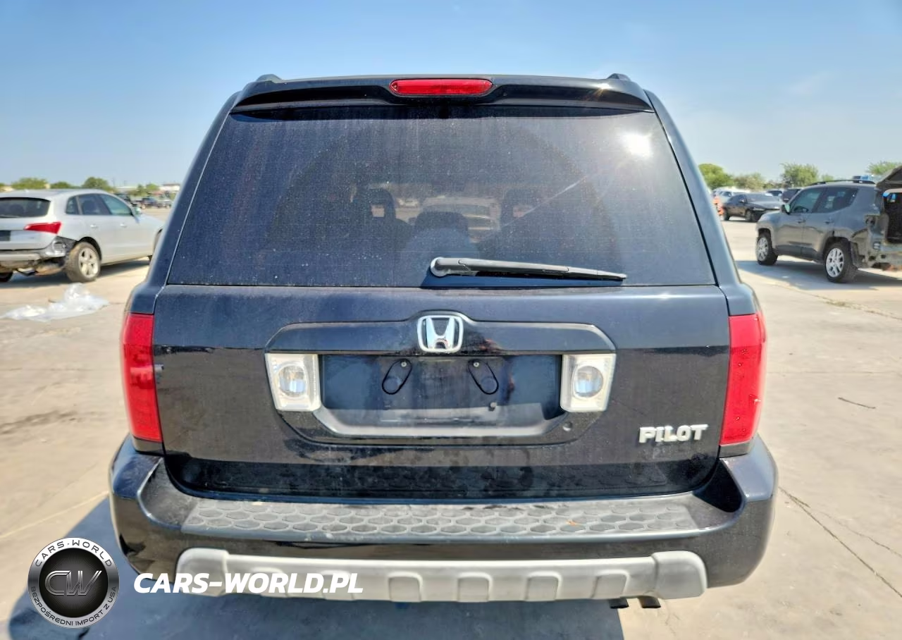 2004 Honda Pilot Ex VIN:5FNYF18424B009689 - 6