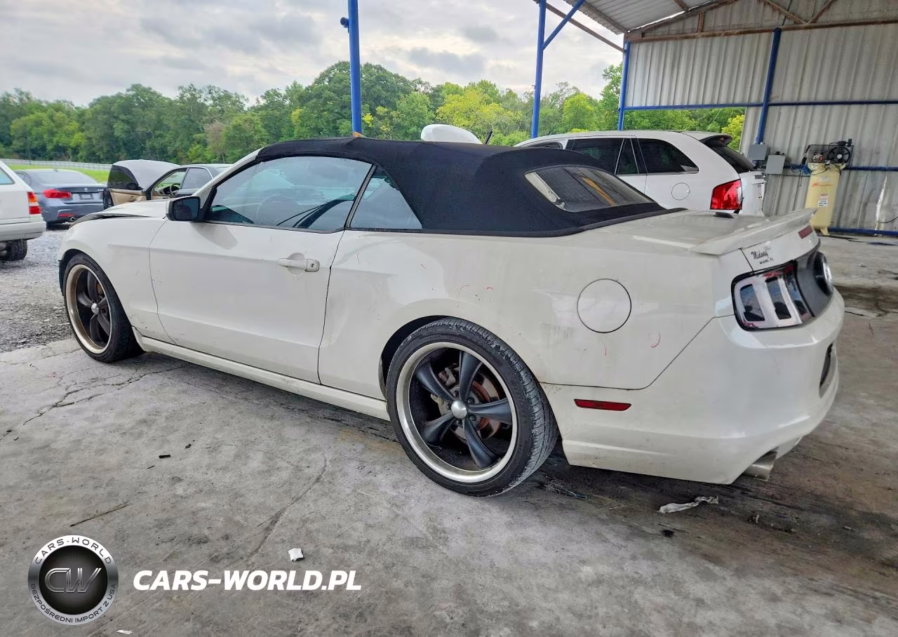 2013 Ford Mustang VIN:1ZVBP8EM5D5226071 - 2