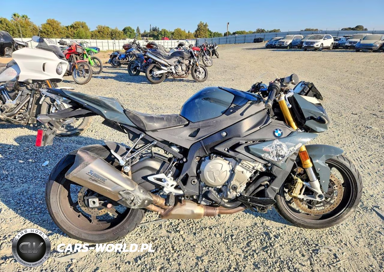 2017 BMW S 1000 R