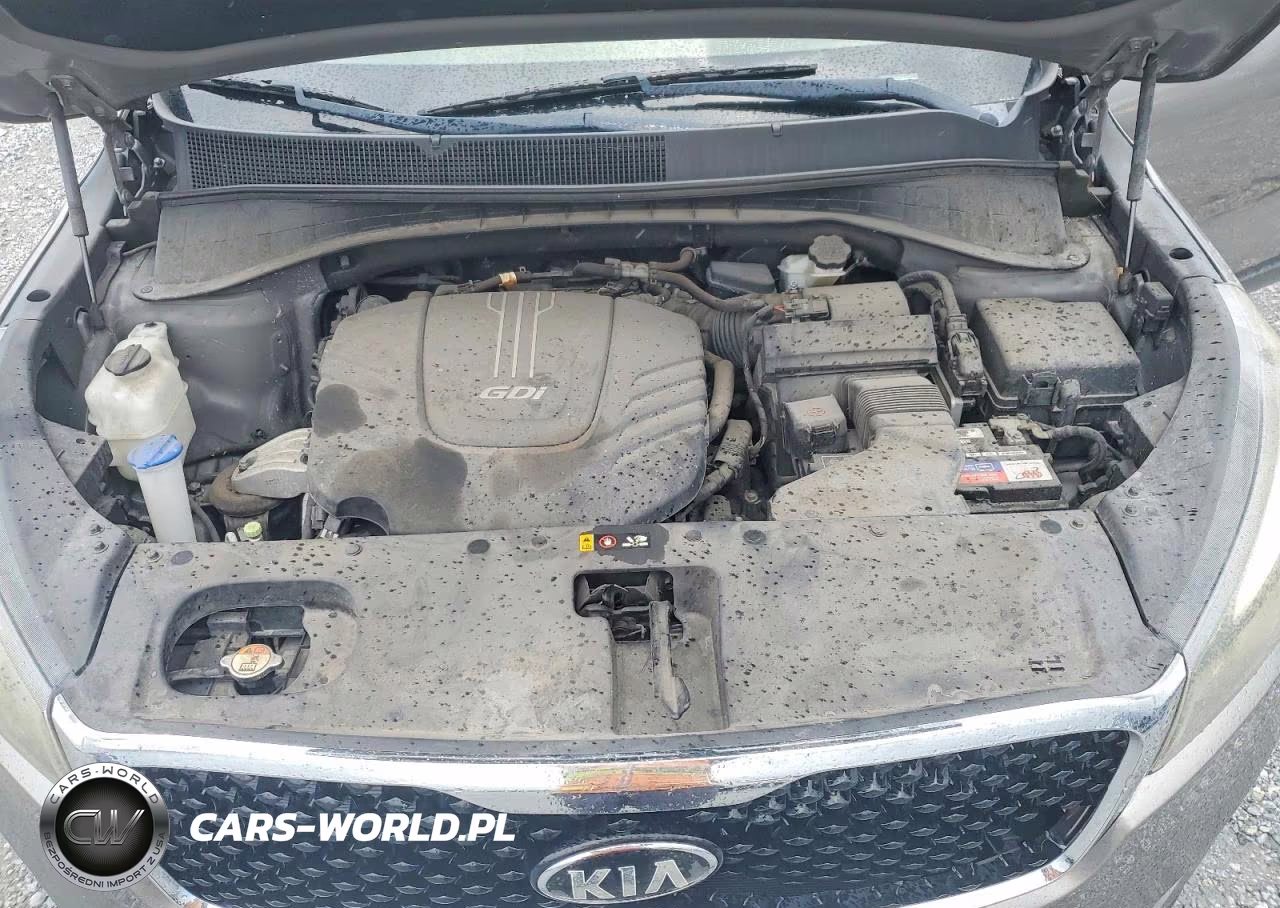 2018 Kia Sorento Ex VIN:5XYPH4A53JG426768 - 12