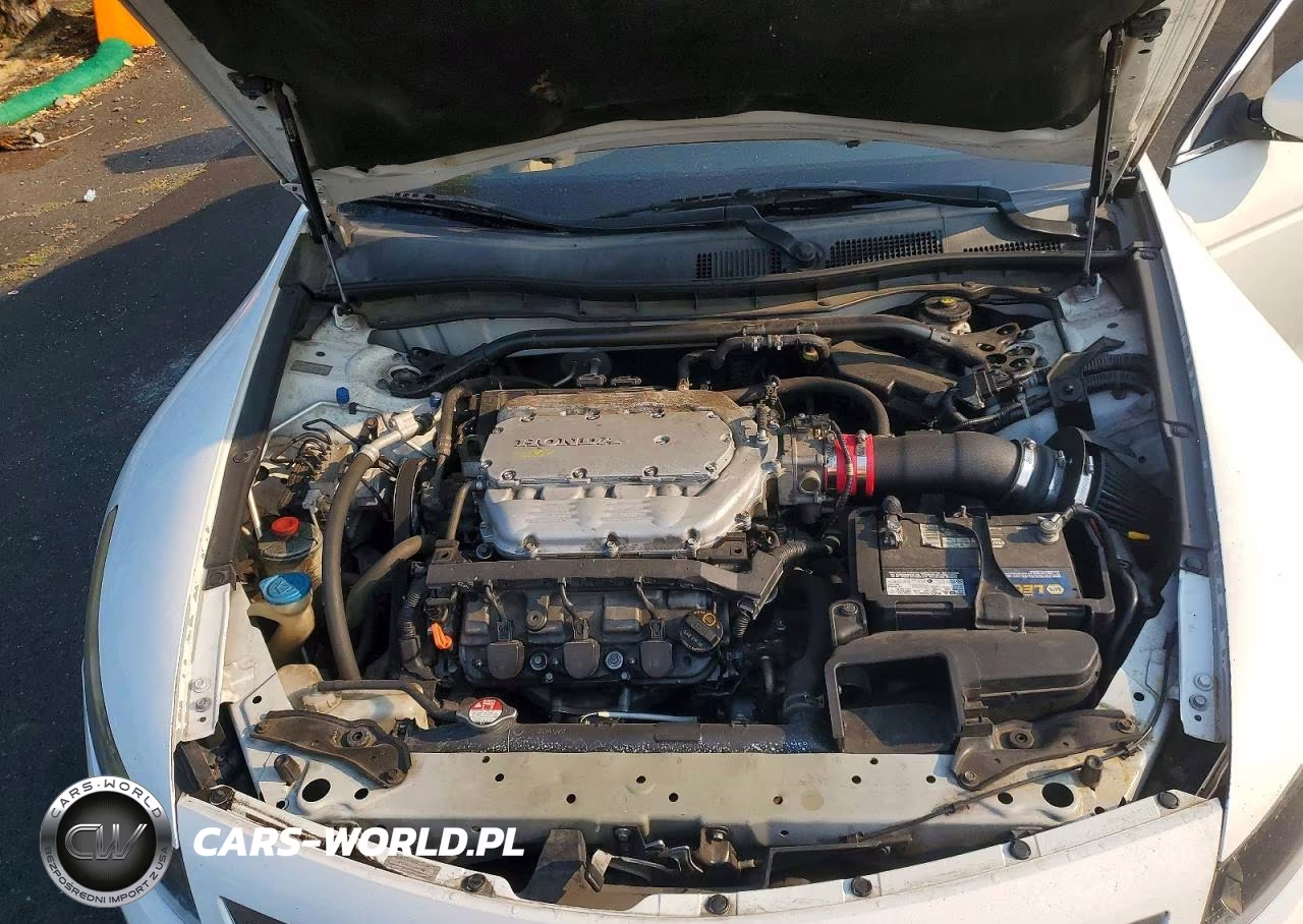 2010 Honda Accord Exl VIN:1HGCS2B86AA009319 - 11
