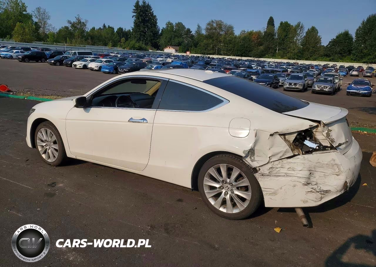 2010 Honda Accord Exl VIN:1HGCS2B86AA009319 - 2