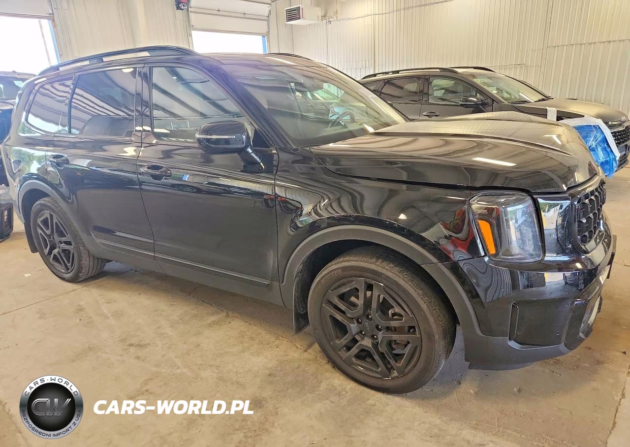 2025 Kia Telluride Sx-Prestige X-Line VIN:5XYP5DGC1SG620280 - 4