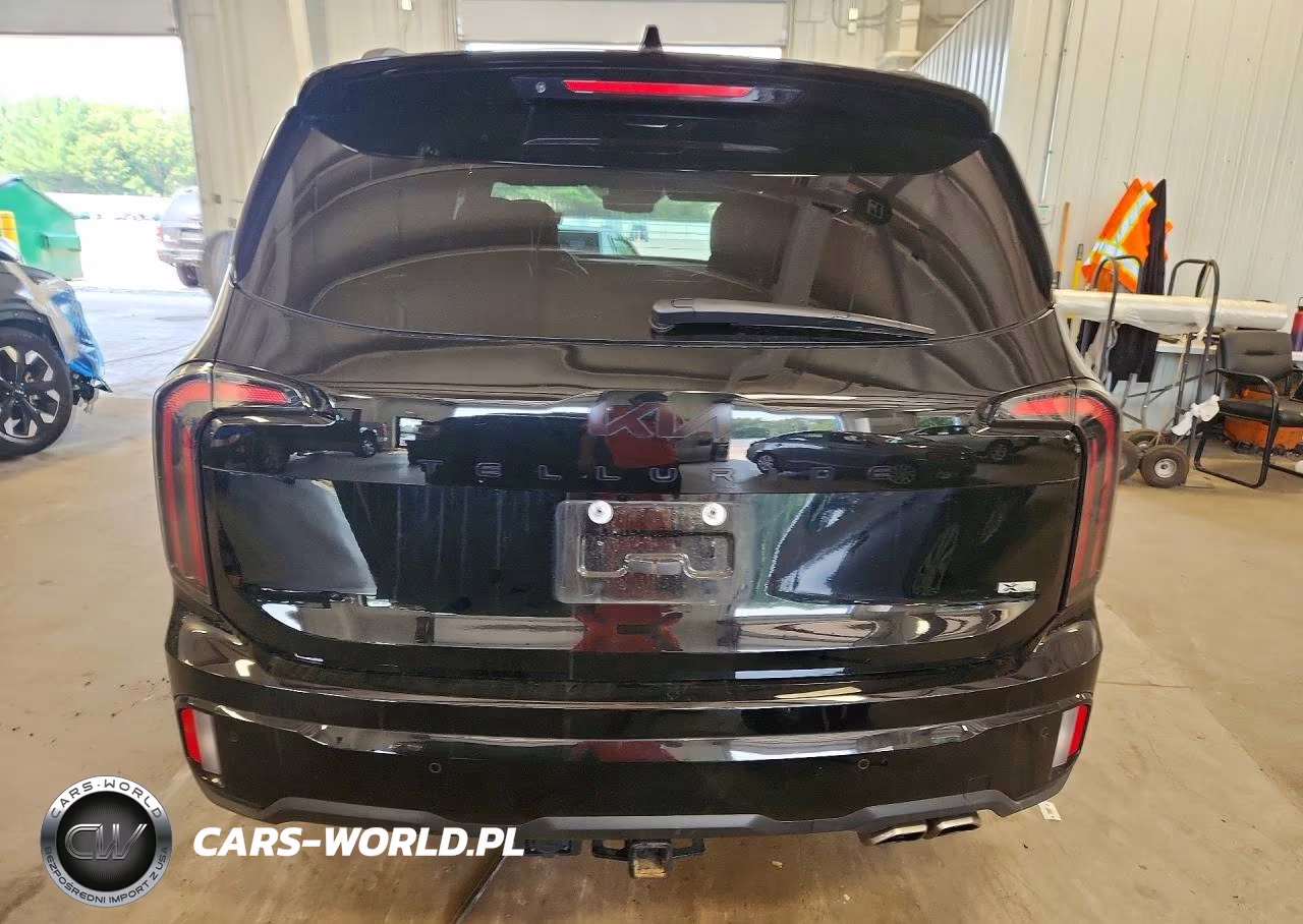 2025 Kia Telluride Sx-Prestige X-Line VIN:5XYP5DGC1SG620280 - 6