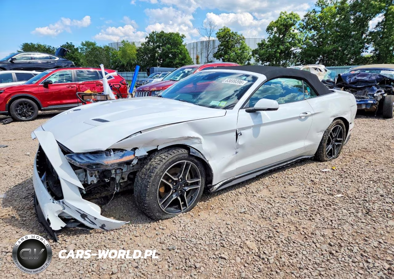 2019 Ford Mustang