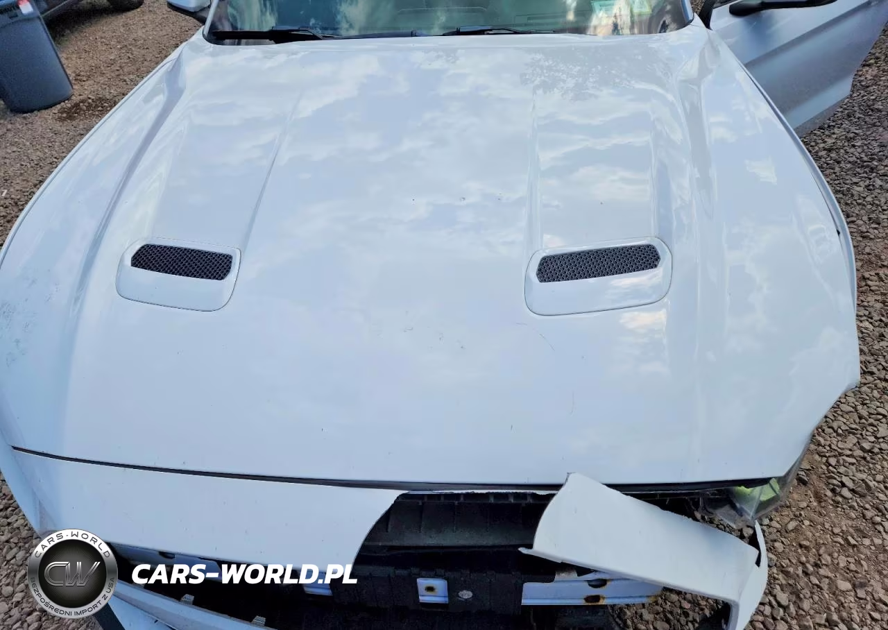 2019 Ford Mustang VIN:1FATP8UH1K5165994 - 11