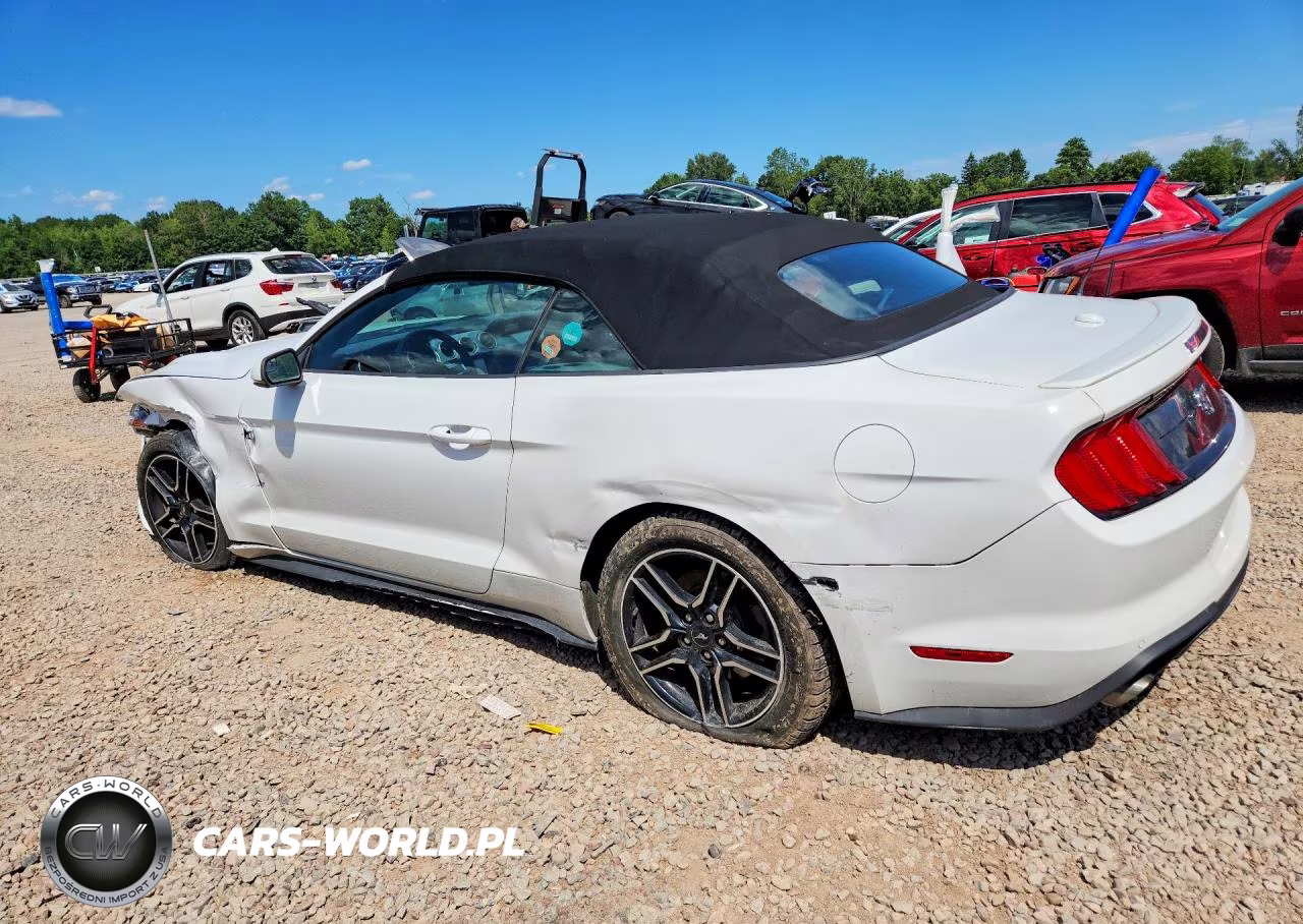 2019 Ford Mustang VIN:1FATP8UH1K5165994 - 2