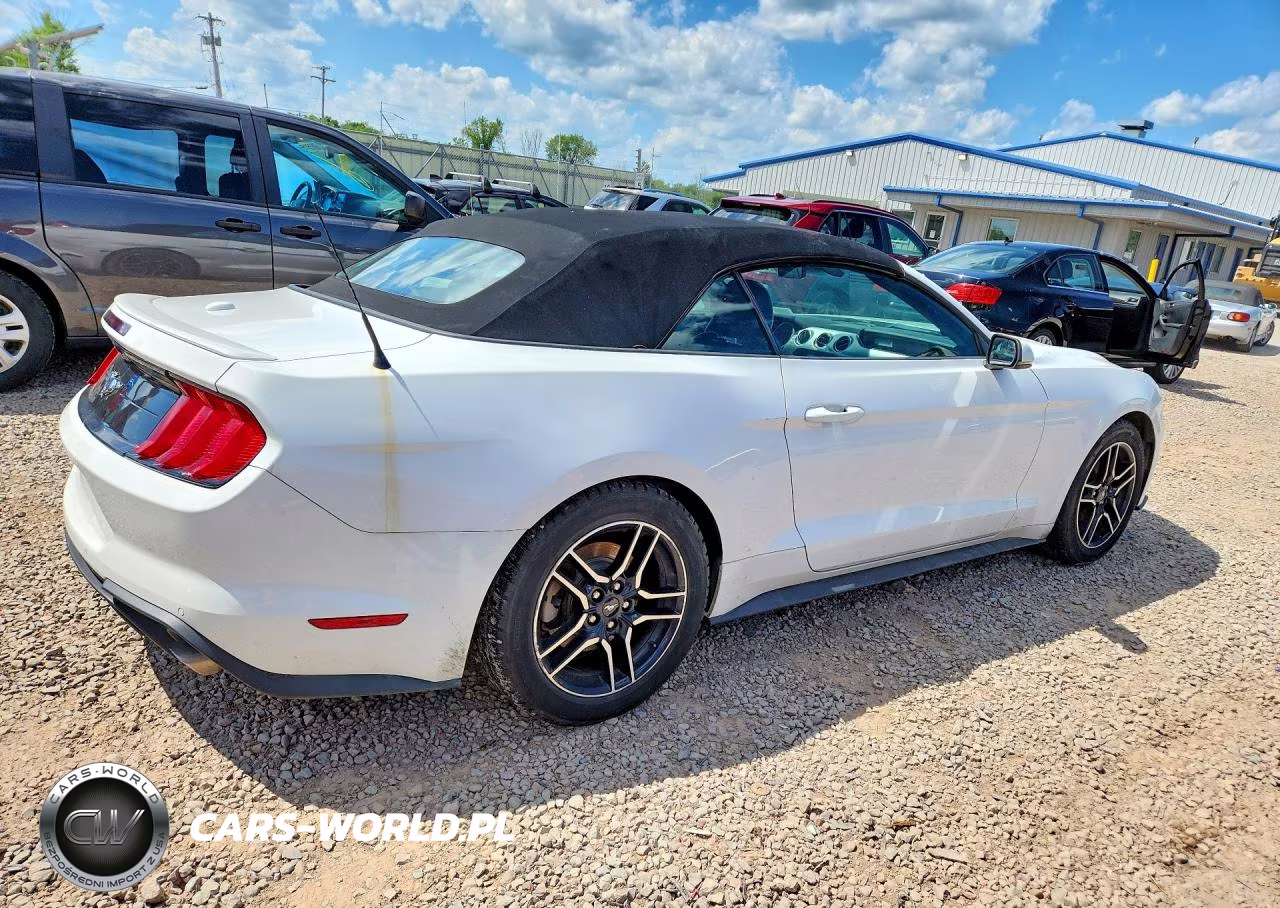 2019 Ford Mustang VIN:1FATP8UH1K5165994 - 3