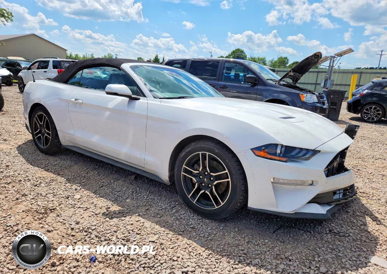 2019 Ford Mustang VIN:1FATP8UH1K5165994 - 4