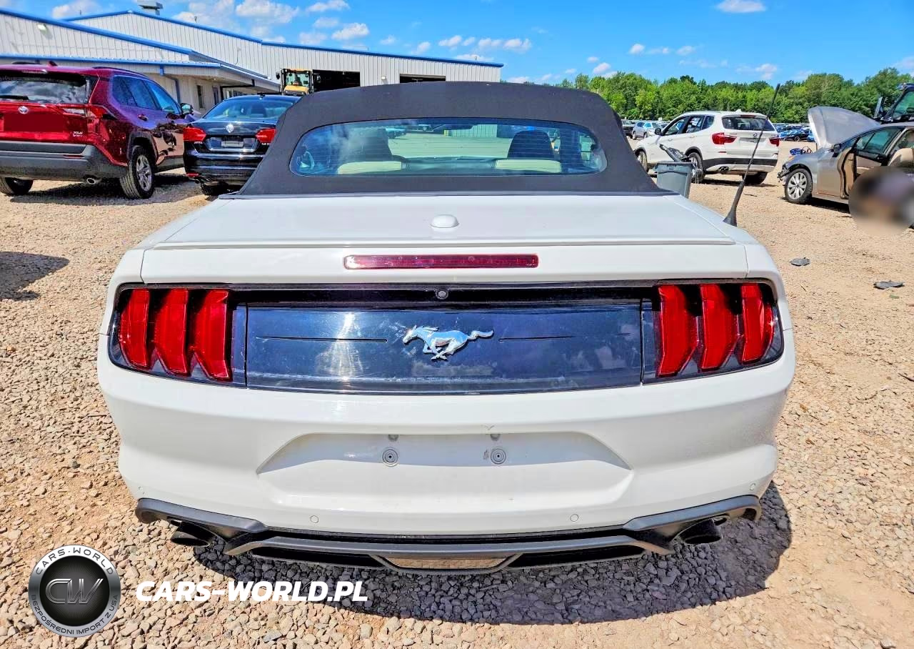 2019 Ford Mustang VIN:1FATP8UH1K5165994 - 6