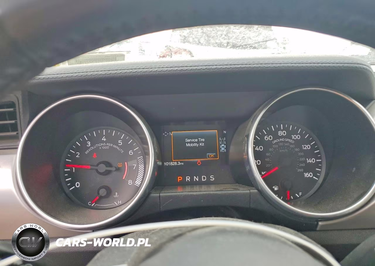 2019 Ford Mustang VIN:1FATP8UH1K5165994 - 9
