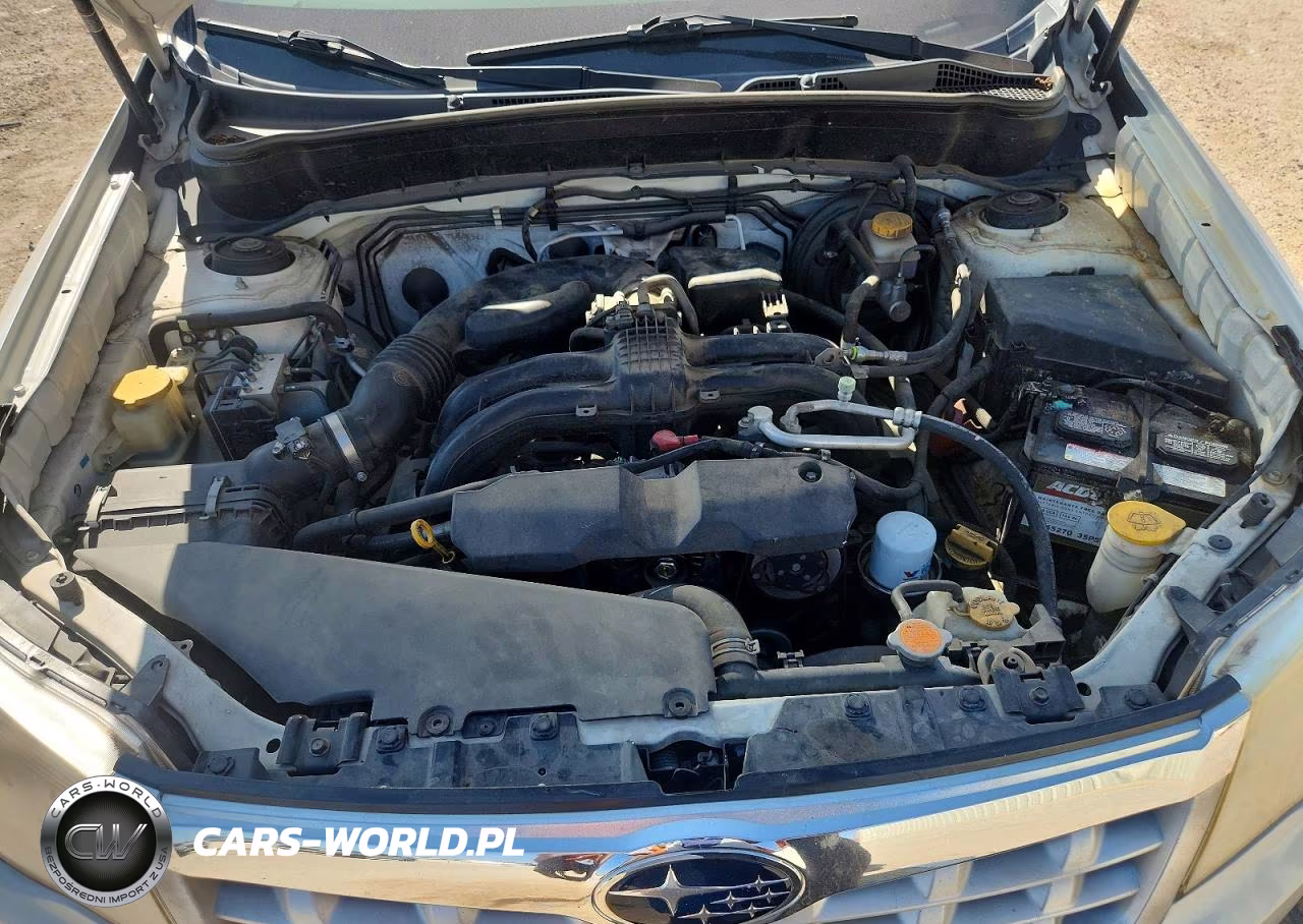 2013 Subaru Forester Limited VIN:JF2SHAEC2DH425691 - 12