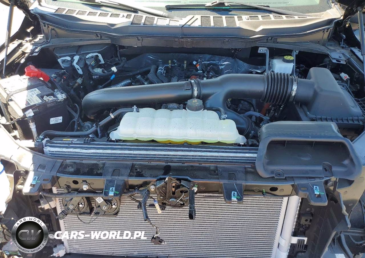 2024 Ford F150 Xlt VIN:1FTFW3L83RKF69292 - 11