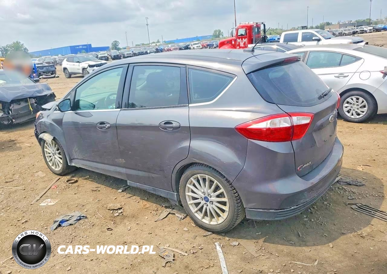 2016 Ford C-Max Sel VIN:1FADP5BU9GL117603 - 2