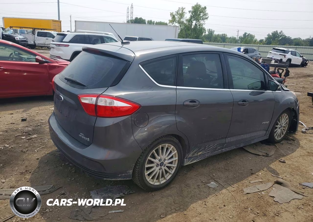 2016 Ford C-Max Sel VIN:1FADP5BU9GL117603 - 3