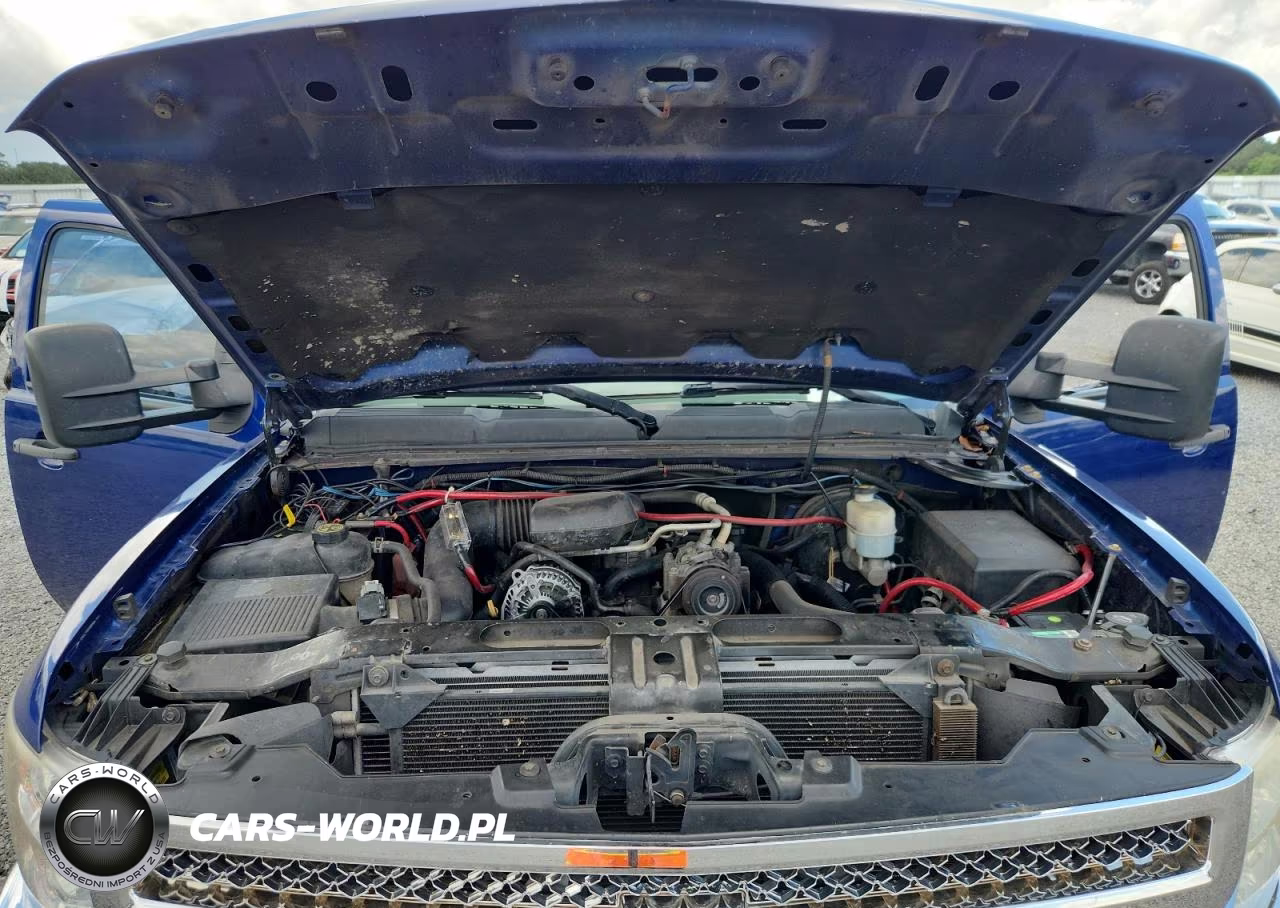 2013 Chevrolet Silverado C1500 VIN:1GCRCPEX1DZ324914 - 11