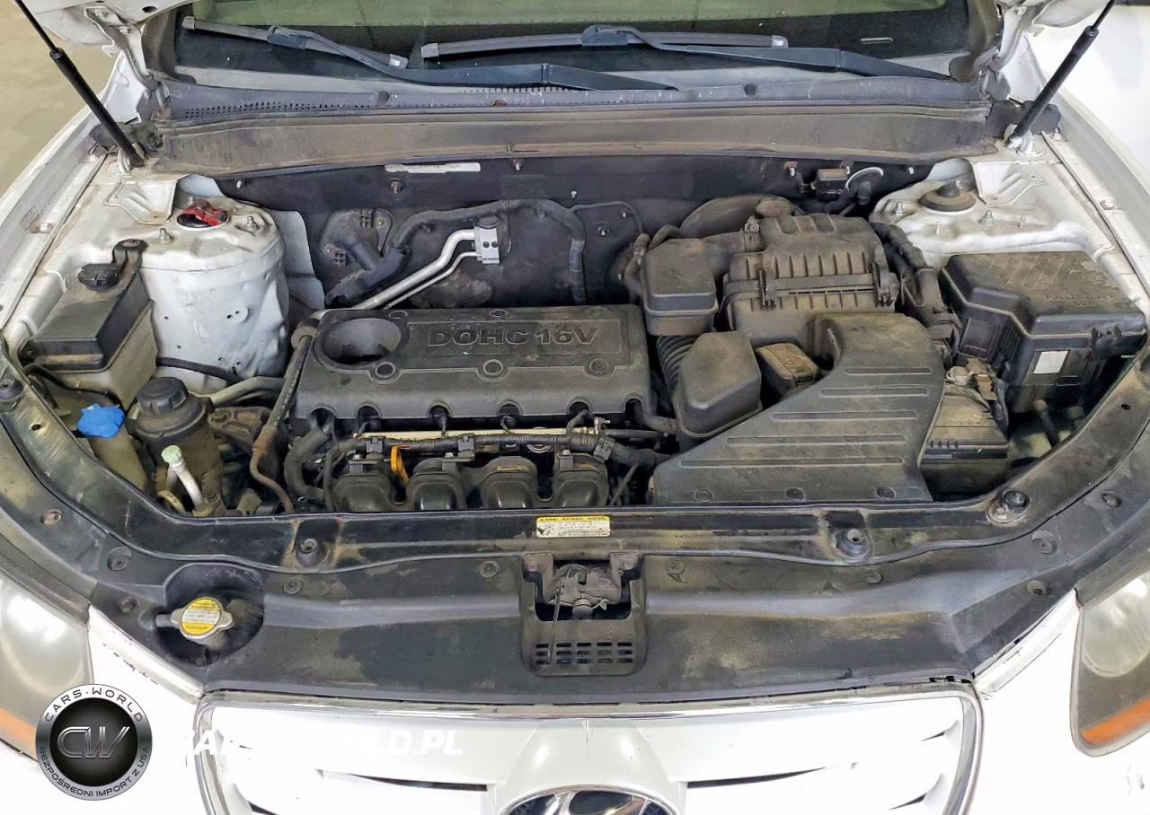 2010 Hyundai Santa Fe Gls VIN:5NMSG3AB9AH399806 - 12