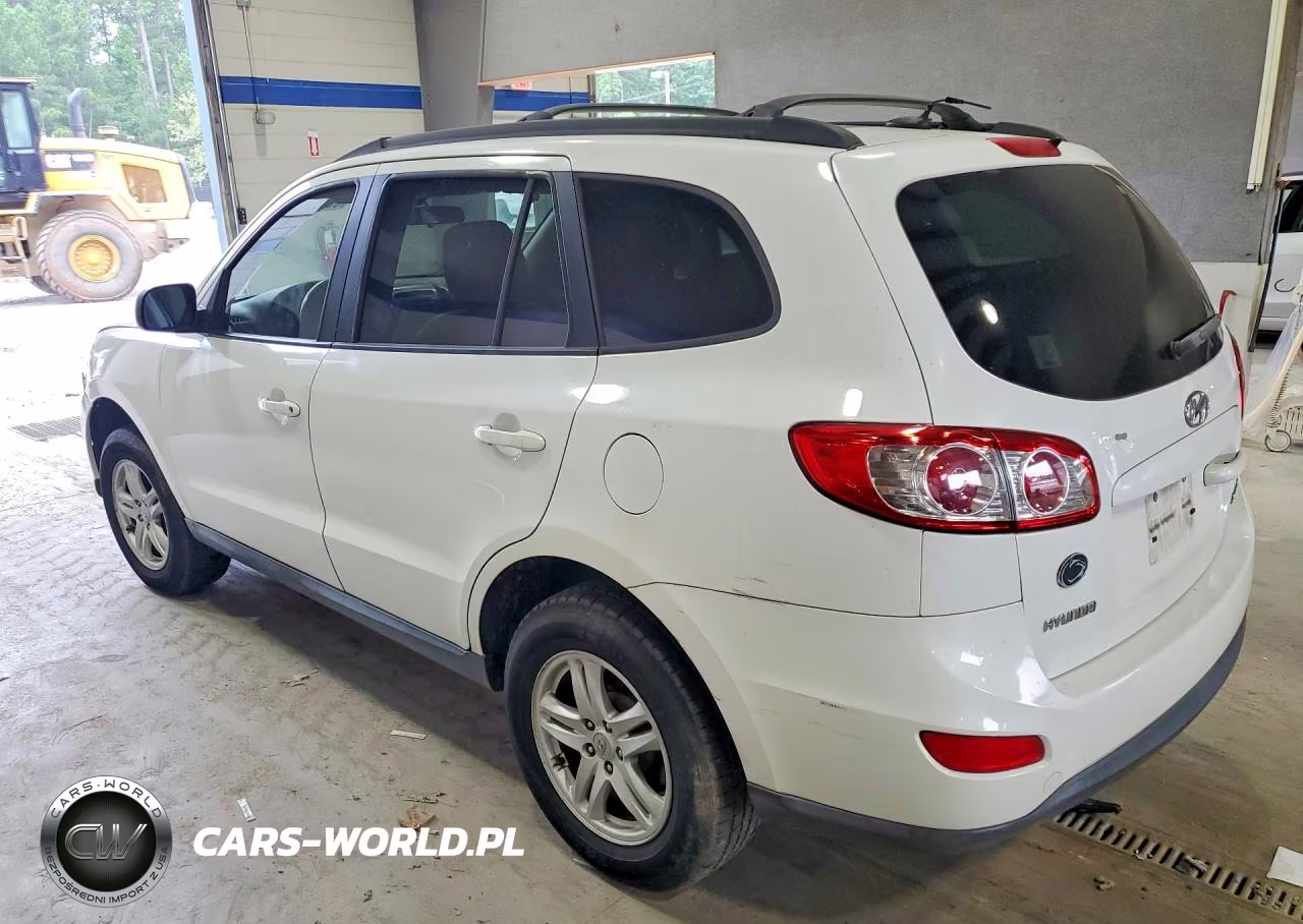 2010 Hyundai Santa Fe Gls VIN:5NMSG3AB9AH399806 - 2