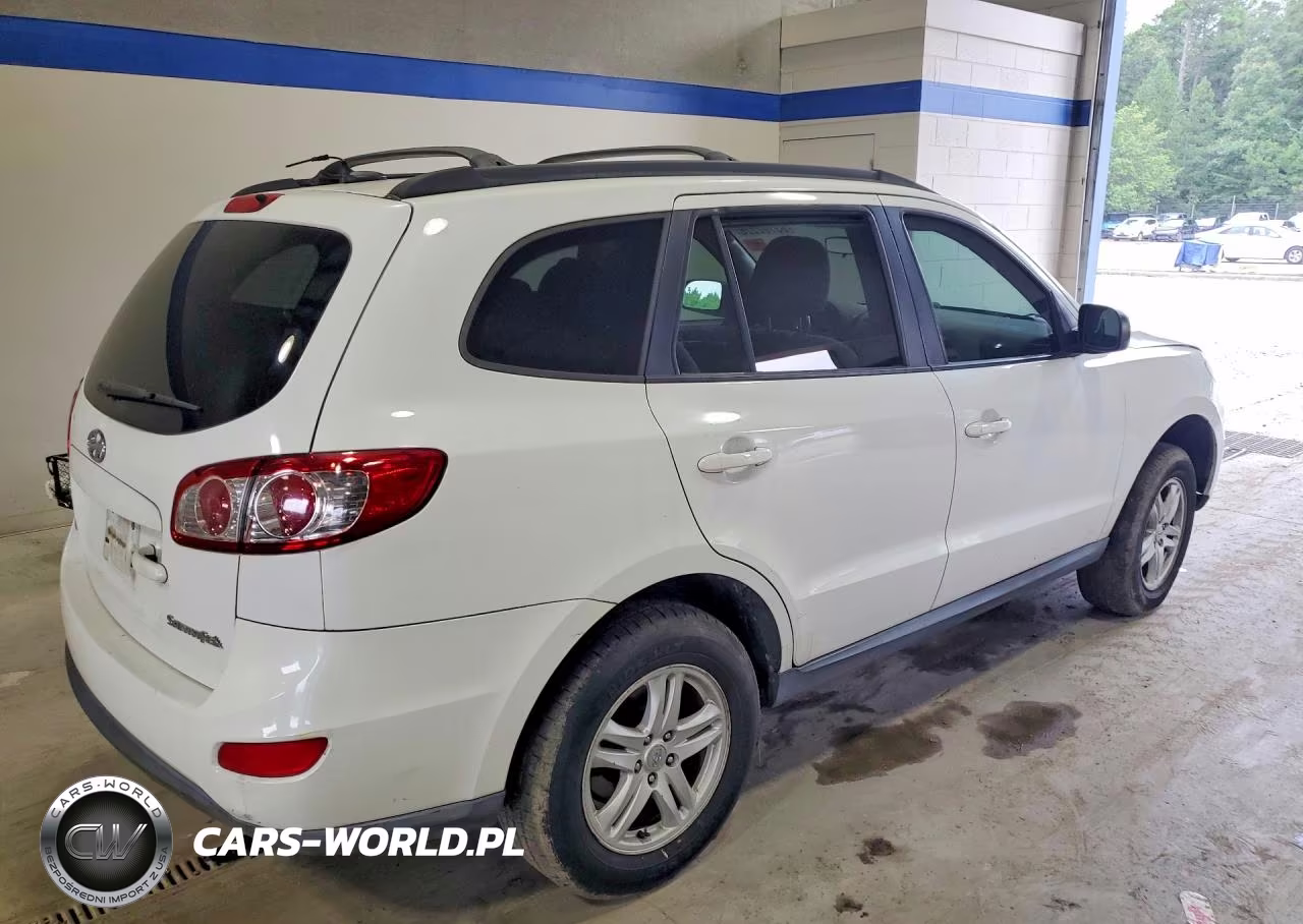 2010 Hyundai Santa Fe Gls VIN:5NMSG3AB9AH399806 - 3