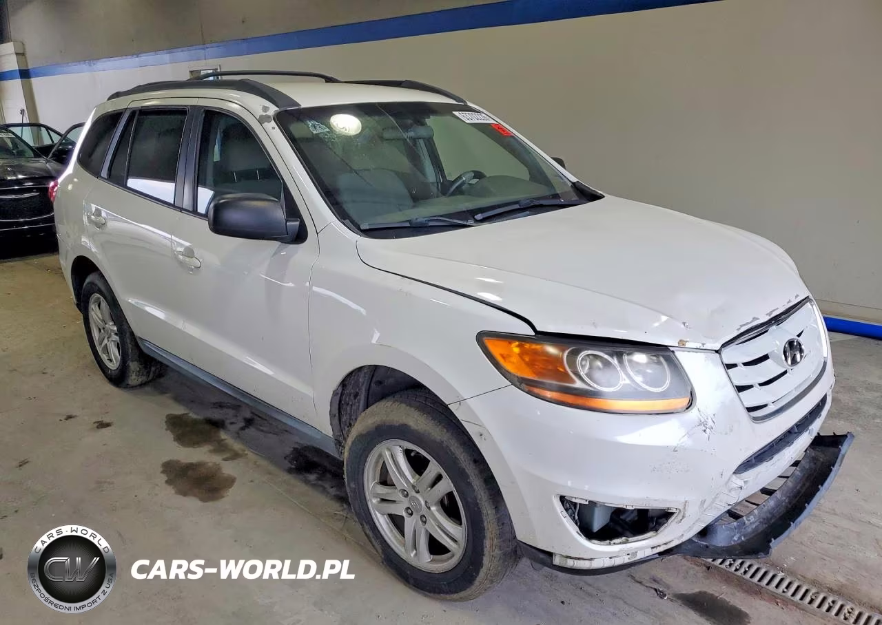2010 Hyundai Santa Fe Gls VIN:5NMSG3AB9AH399806 - 4