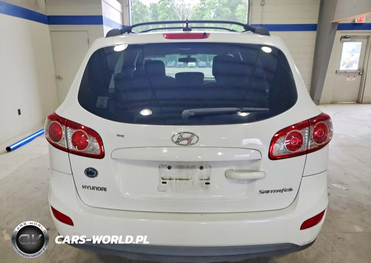 2010 Hyundai Santa Fe Gls VIN:5NMSG3AB9AH399806 - 6