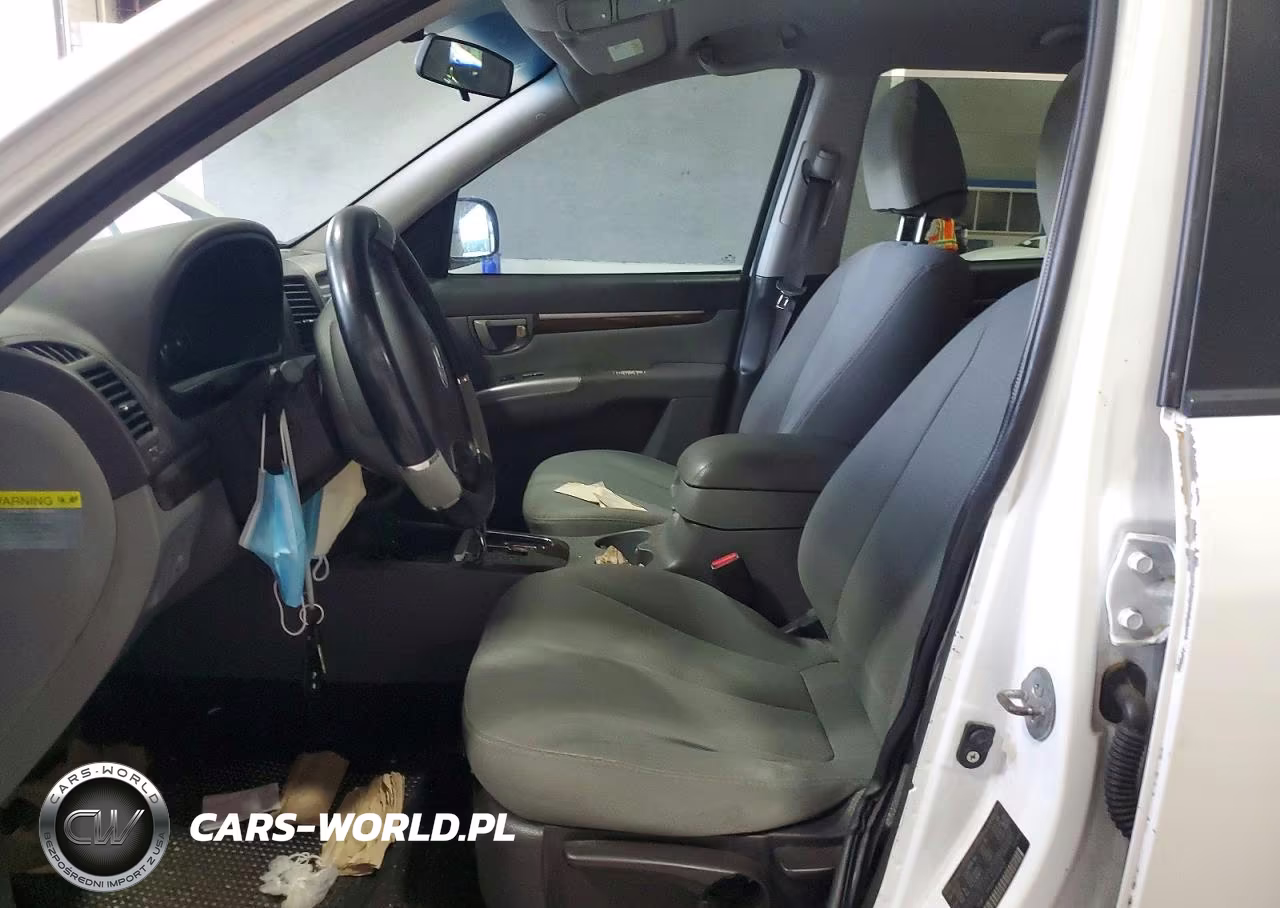 2010 Hyundai Santa Fe Gls VIN:5NMSG3AB9AH399806 - 7