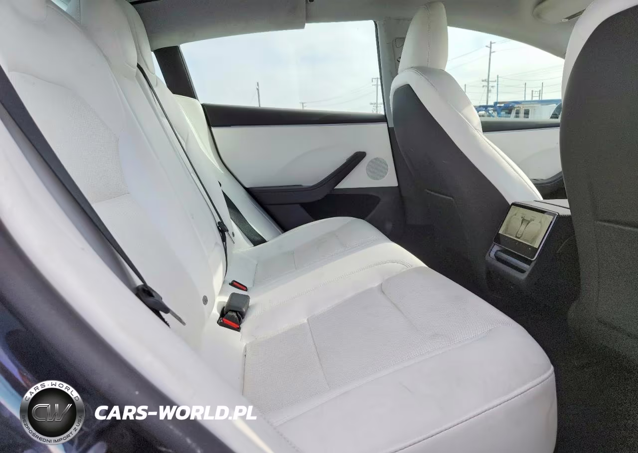 2024 Tesla Model 3 VIN:5YJ3E1EA5RF869231 - 10