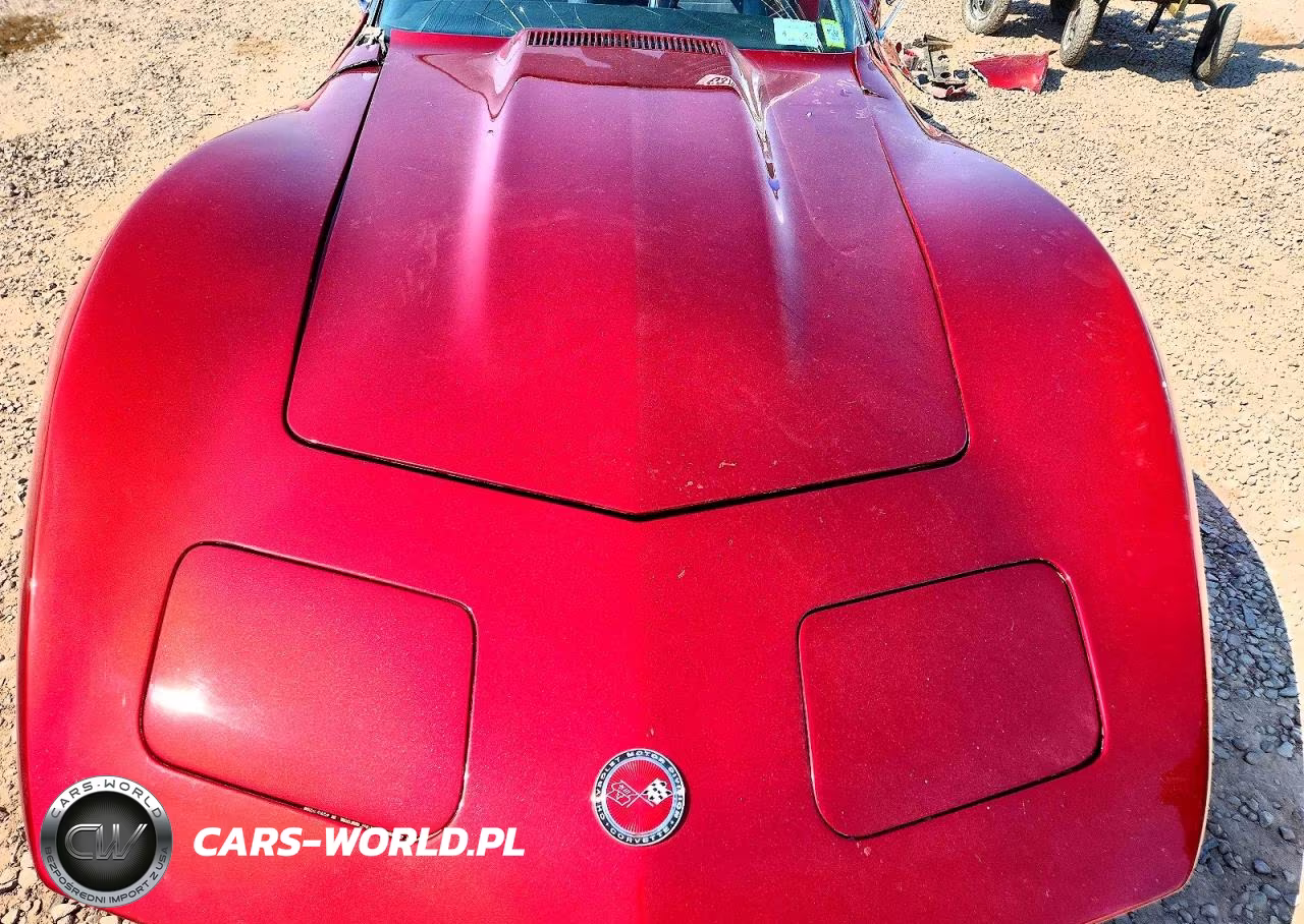 1974 Chevrolet Corvette VIN:1Z37J4S418490 - 11
