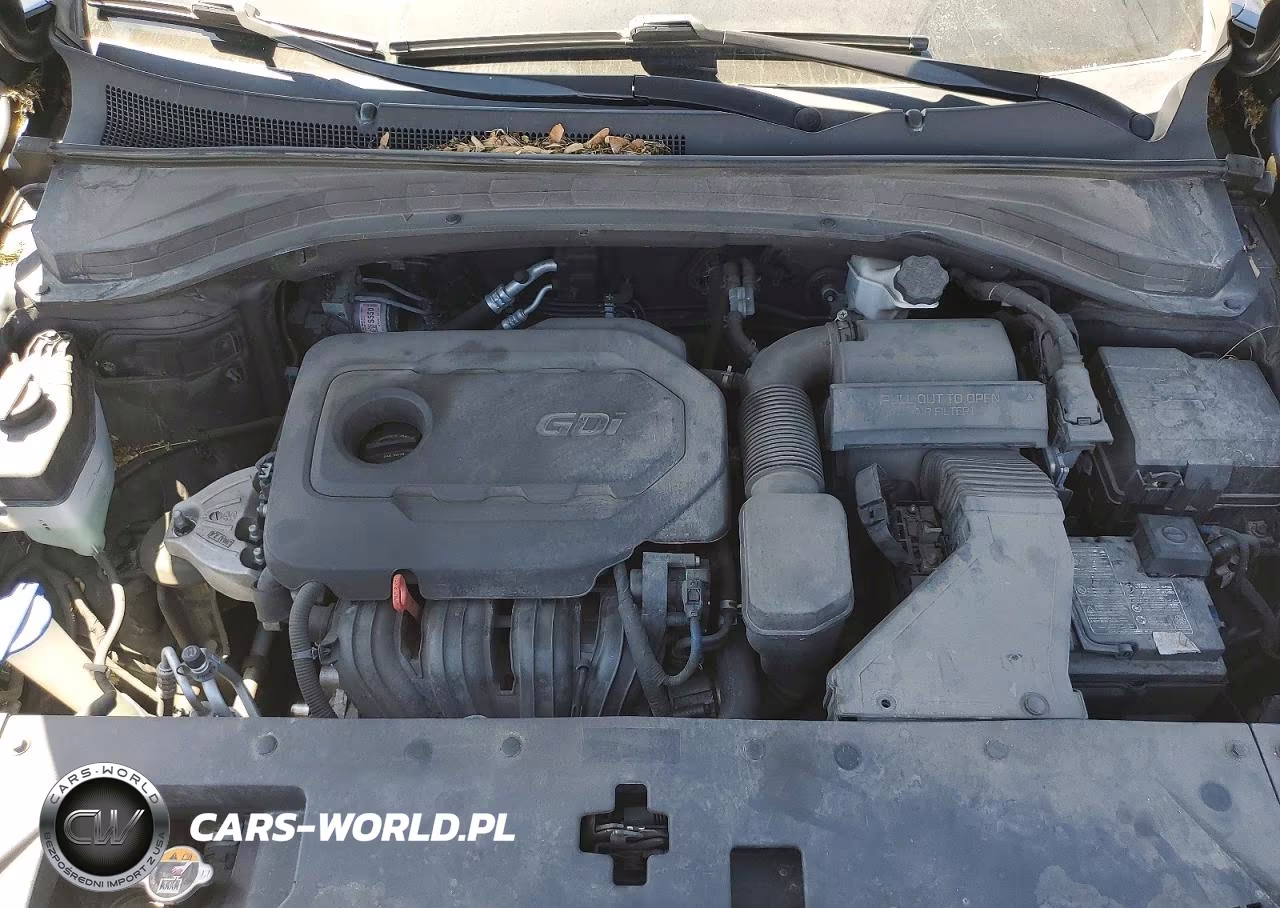 2020 Hyundai Santa Fe Se VIN:5NMS2CADXLH257435 - 12
